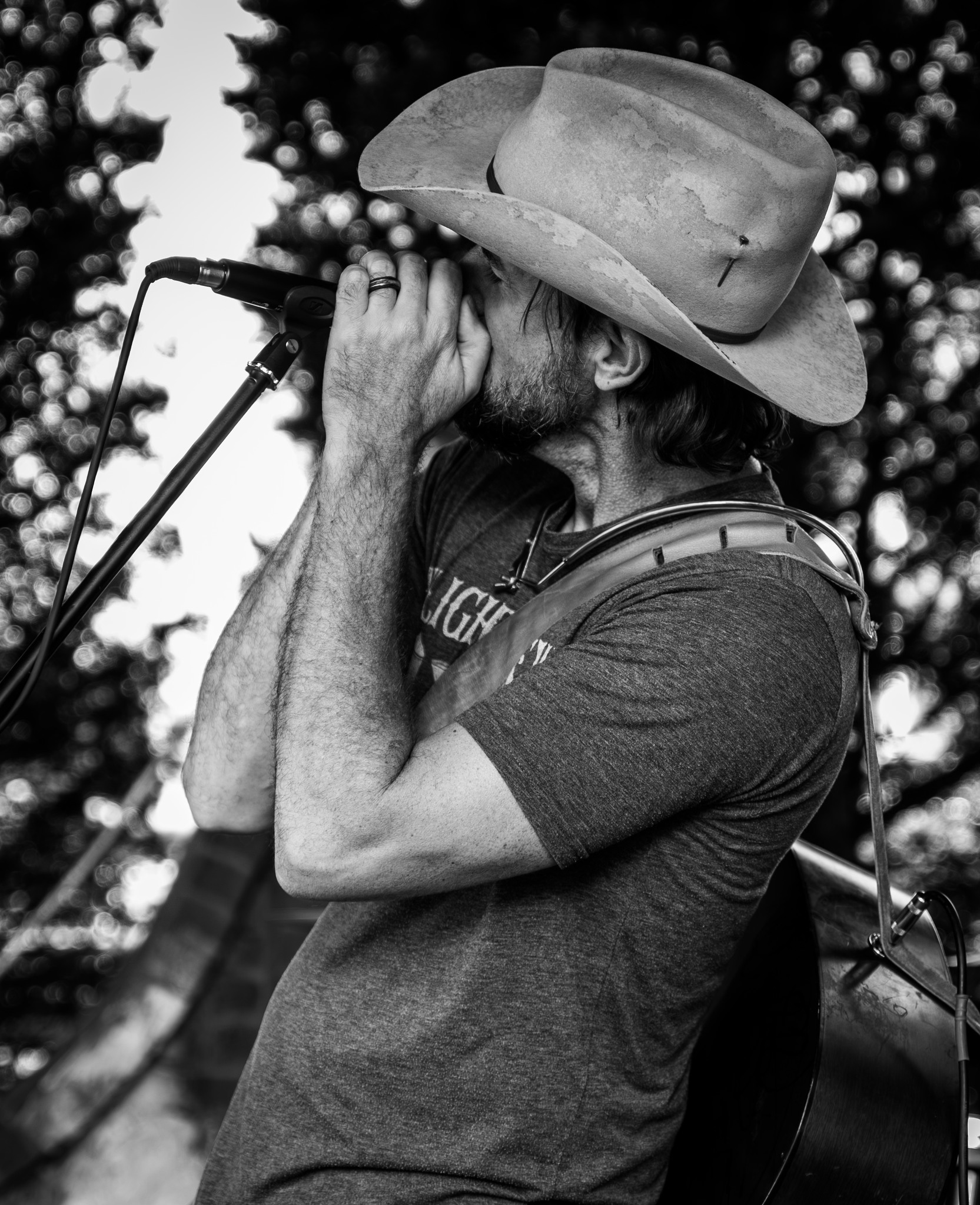 Monte Wilson